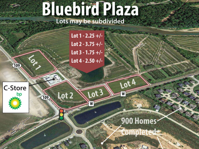 BlueBird Plaza